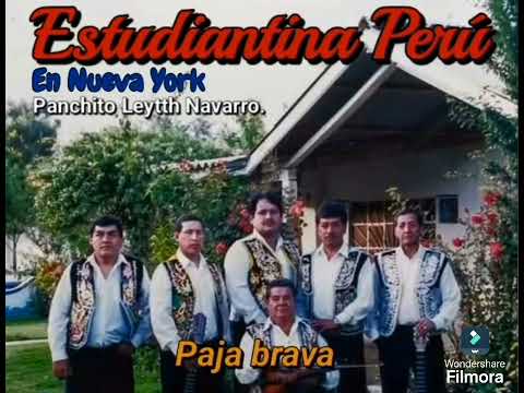 Paja Brava - Estudiantina Peru