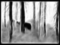 Darkthrone - Crossing The Triangle Of Flames