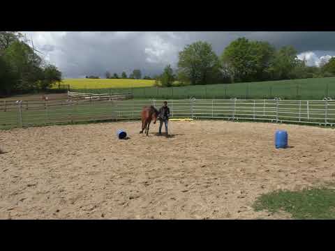 2019 05 04 Flory :-)