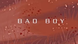 BAD BOY LYRICS (Queen Naija)