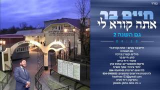 חיים בר - גם השנה 2 | (2016)
