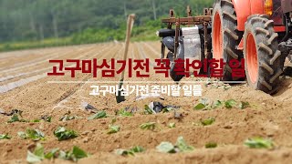고구마 심기 전 결정할 일과 준비할 일들