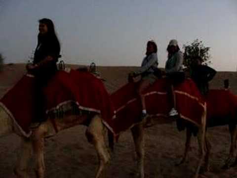 Dubai - Camel Ride in the Desert Part 2