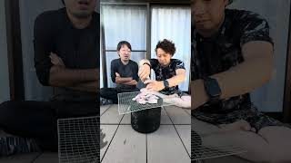 【オレんち。】甘鯛を堪能したった。#ショート #short#飯テロ