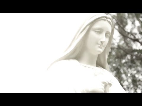 SIERVAS - The Assumption