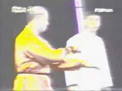 Taekwondo vs. ShaoLin Kung Fu