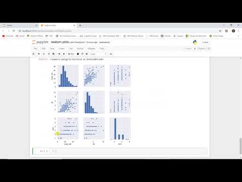 12 Pair Plot