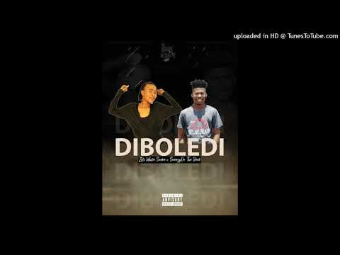 Zoli White Smoke x SmeezyOn The Beat  - DIBOLEDI