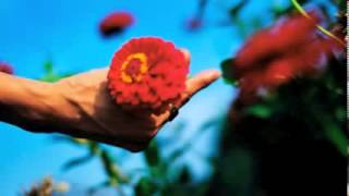 Shinsei Kamattechan「黒いたまご」