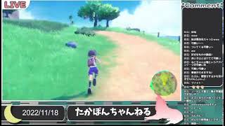 たかぽんライブちゃんねる