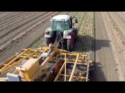 SAMON |  3-Bed Onion Windrower