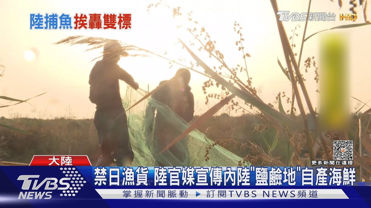 陸禁日海鮮 陸漁船在「日本海域」捕魚 韓媒:雙重標準