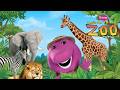 Barney Let S Go To The Zoo SPECIAL