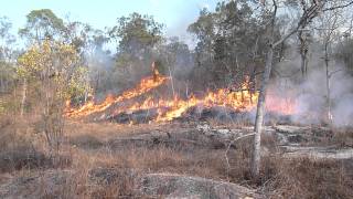 preview picture of video 'How to realize a wonderful back burning to fight a bushfire in Australia?'