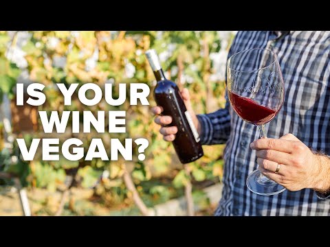 A conversation about vegan wine, climate change & sustainability (with Laurent Miquel)