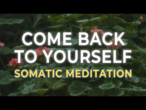 Come Back to Your Body | Somatic Meditation for Burnout, Numbness & Disconnection