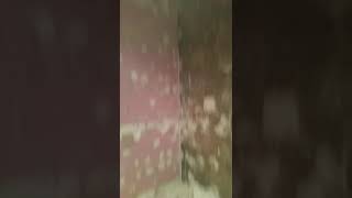 Album cover: Bathroom installation