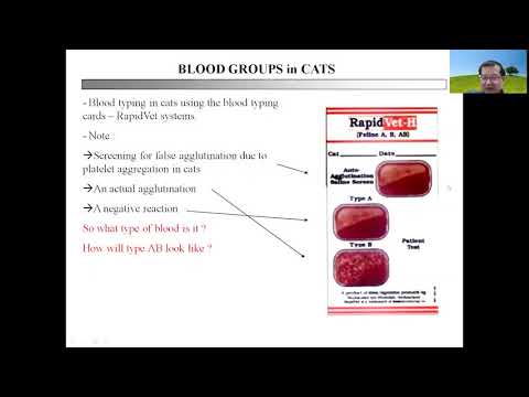 008 Blood Groups in animals