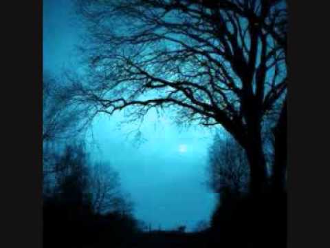 Tu lo Sai (Torelli) Lorna Kelly (Audio)