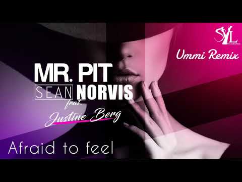 Mr. Pit & Sean Norvis ft. Justine Berg - Afraid to feel | Ummi Remix