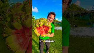 Trying the World’s Most Bizarre Fruit!