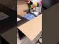 Honest Vacuum Review Unboxing My New Miele
