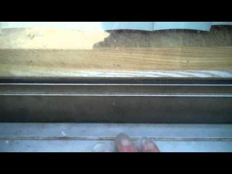 1st YouTube video about how are bugs getting in my house