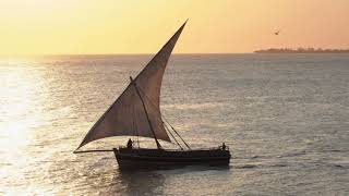 Ancient African Scrolls Expose Truths We Need Today