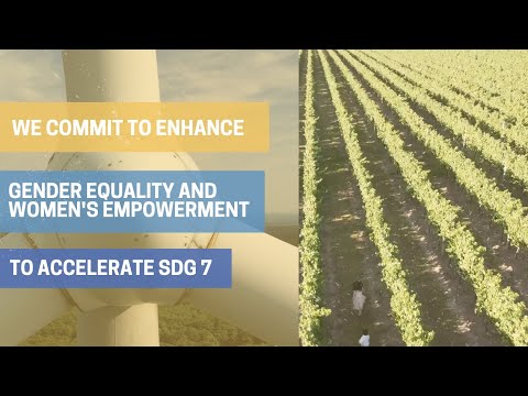 Gender and Energy Compact