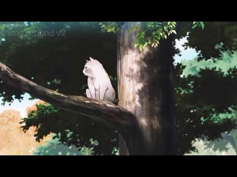 THAT SHOULD BE ME [ Tachibana mei & Yamato Kurosawa Moments ]