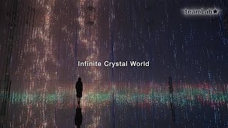 [遊記] 河口湖.東京.橫濱7日之旅-中