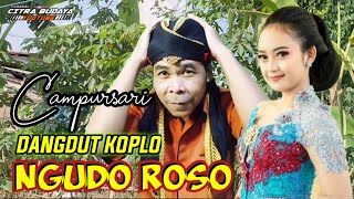 Download lagu NGUDO ROSO ~ Campursari Dangdut Koplo || Cover Lagu campursari nyamleng mp3