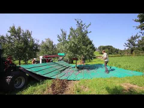 Gütersloh TV und Magazin Carl Pflaumenernte in Stromberg