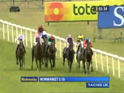 2010 Newmarket Falmouth stakes