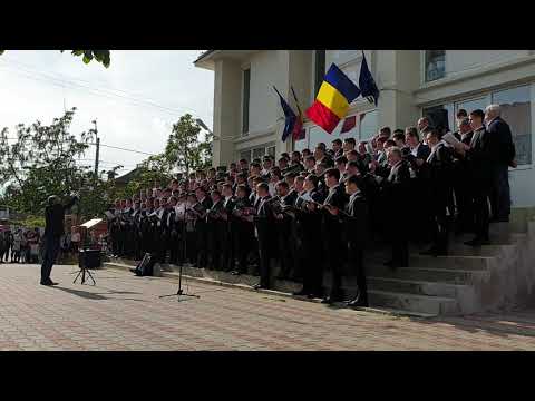 Spre alte zări - Corul reunit bărbătesc Bucovina (Cărpiniș, Timiș)