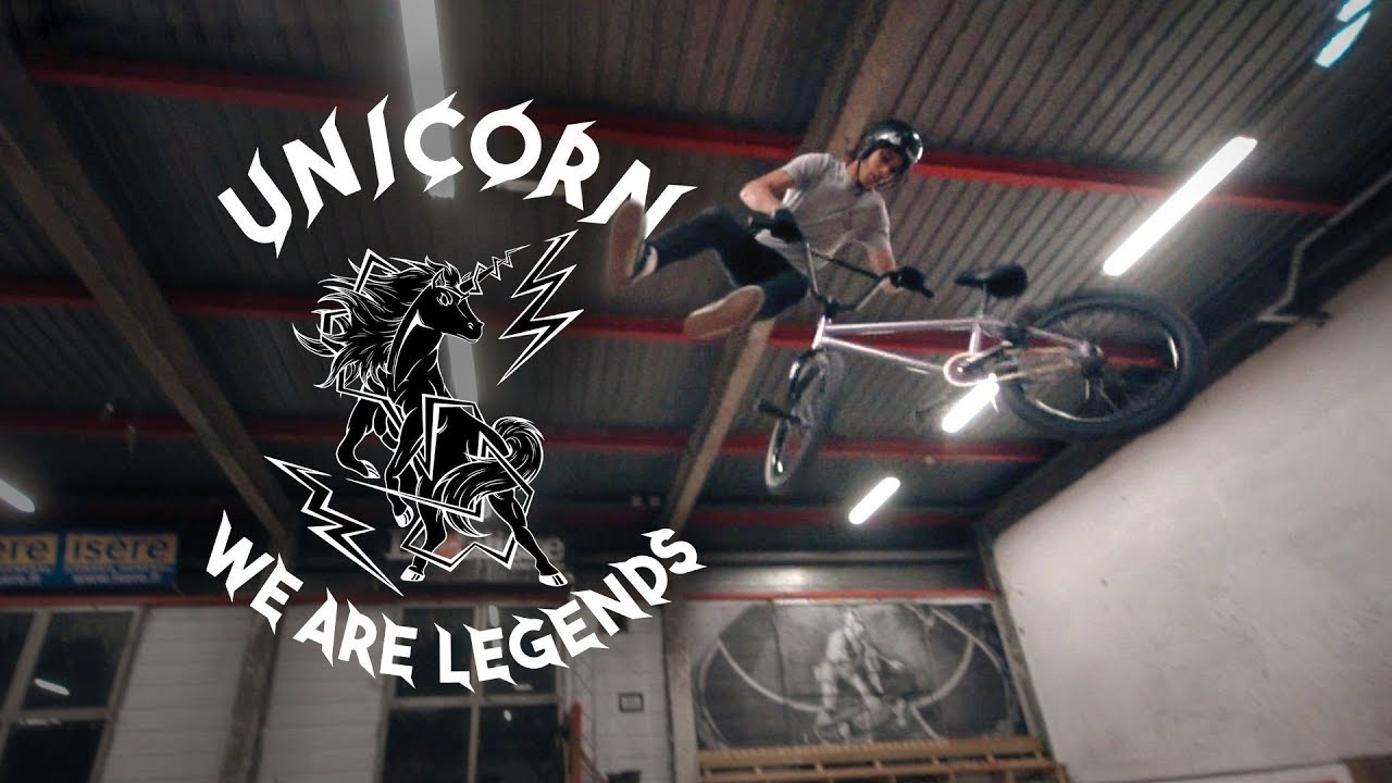 Skatepark La Bifurk à Grenoble