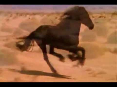 Los Moros y Jorge Yáñez "Romance del que quedó a pie"