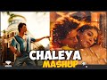 Nashe Si Chadh Gayi X Chaleya X Pretty Woman Hayyoda X Chaleya Cameraman Jaldi Focus ImSnigdhaa