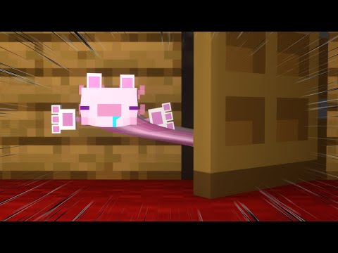 Parotter morphs into Chipi Chipi Cat Axolotl in crazy Minecraft animations!