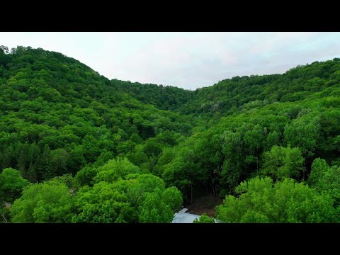 “Beautiful Nature Scenery | Relaxing Views of Nature with Naeem”