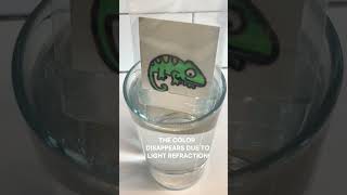 Easy simple science experiments for school students| DIY | Light refraction #scienceproject