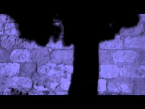 Arsine Tibé - in my room at night (Official Video)