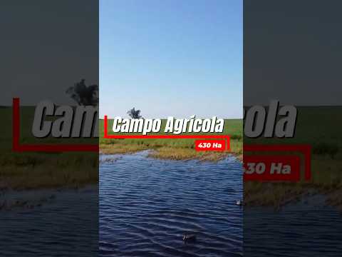 🏡 SAVOIA ALTO LAGUIRRE VENDE 🌾Campo AGRÍCOLA de 430 hectáreas📍 Partido de Trenque Lauquen