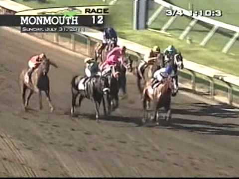 2011 Haskell Invitational Stakes