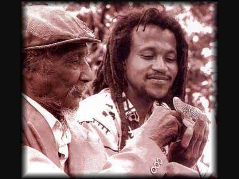 homaz a kaya - freeman