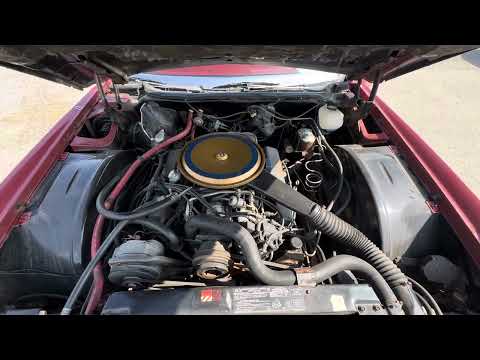 1976 Cadillac Eldorado (CC-1948813) for sale in Hamilton, Ontario