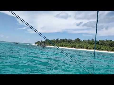 EVAN TAEK - Goyang Tarik Rol