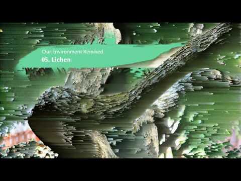 Iszlai - 05 - Lichen