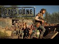 Days Gone Saw Mill Horde Walkthrough Biggest Horde Battle