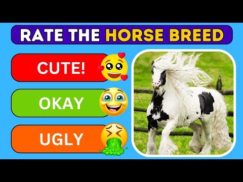 Rate The Horse Breed | Tier Horse List | Animal Quiz | Kuiz Quizzo